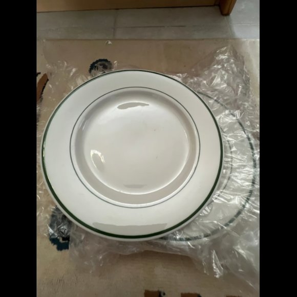 Lots of vintage 3  buffalo China USA 9” green stripes plates - Picture 2 of 4